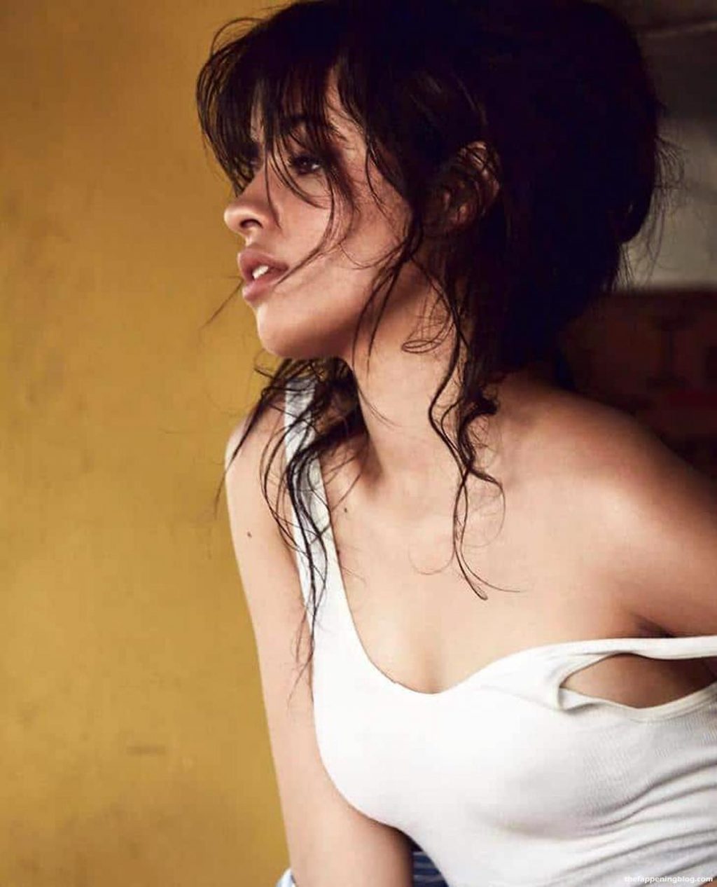 Camila Cabello Nude &amp; Sexy – 2021 ULTIMATE Collection (154 Photos + Videos) [Updated]