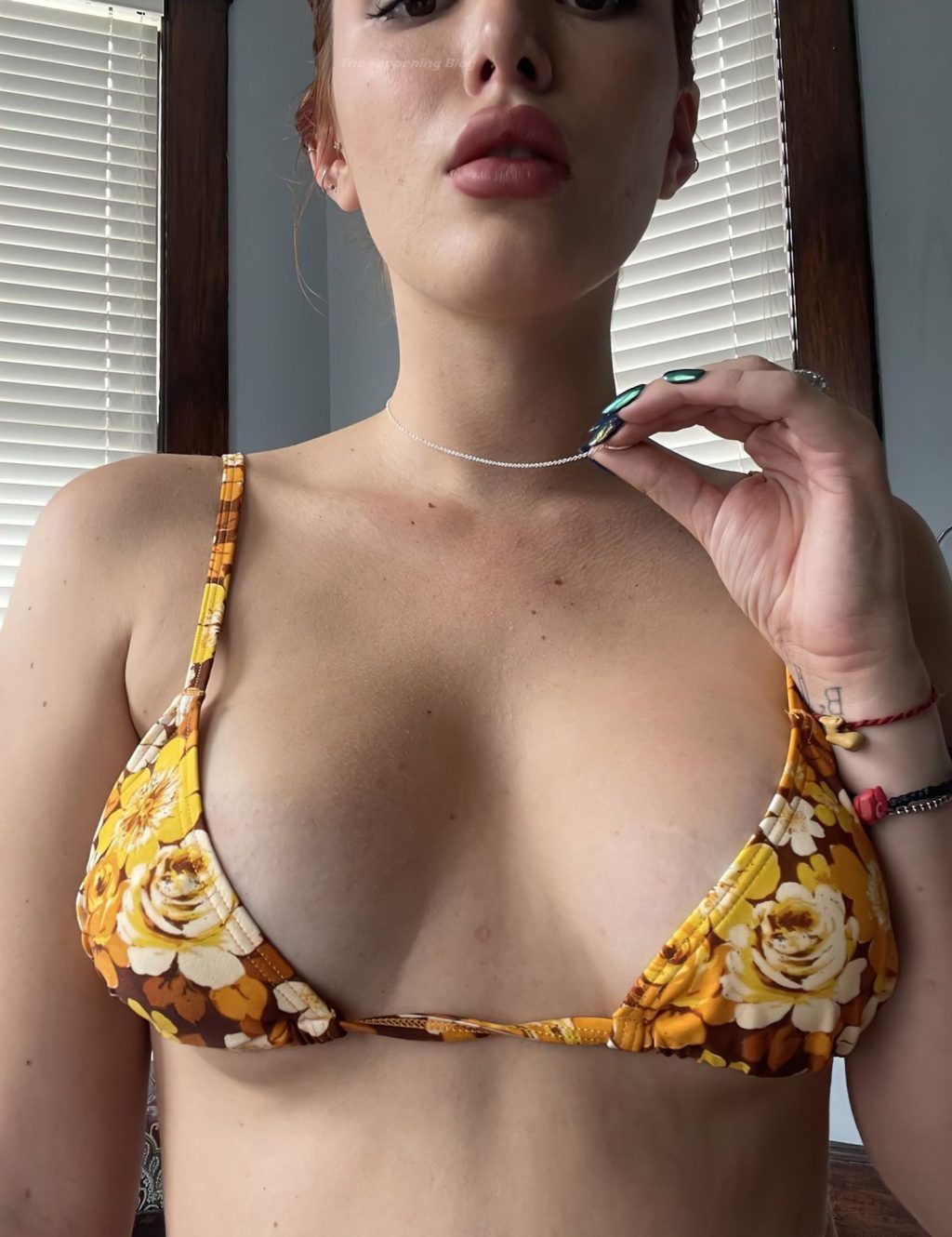 Bella Thorne Nude &amp; Sexy (24 Photos)