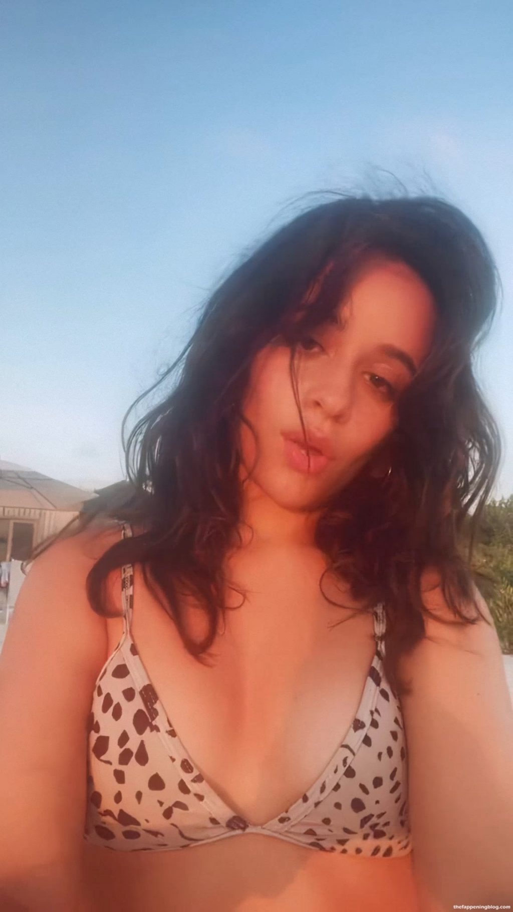 Camila Cabello Sexy (5 Pics + Video)