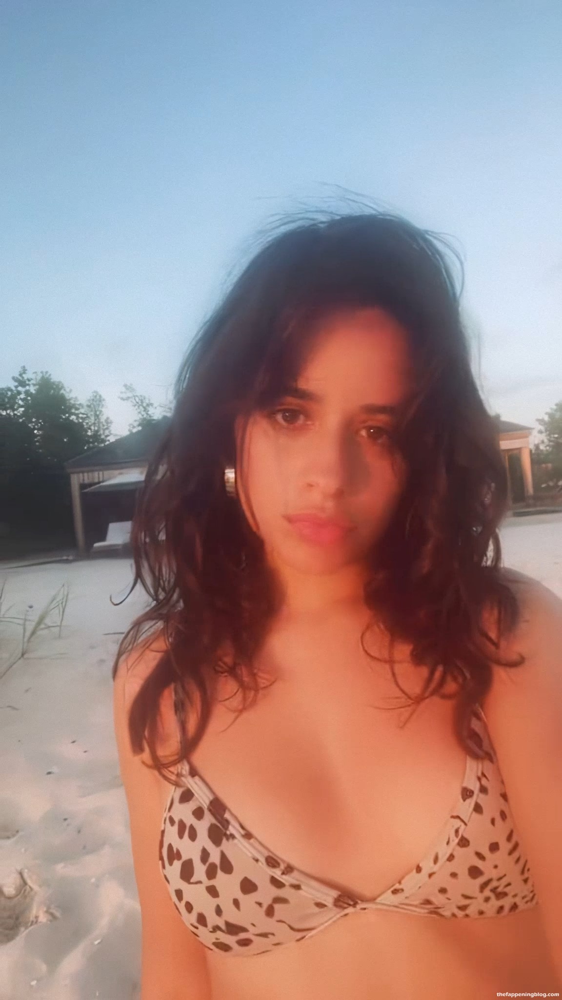 Camila-Cabello-Sexy-Bikini-Top-TFB_2.mp4_snapshot_00.04.2151.jpg