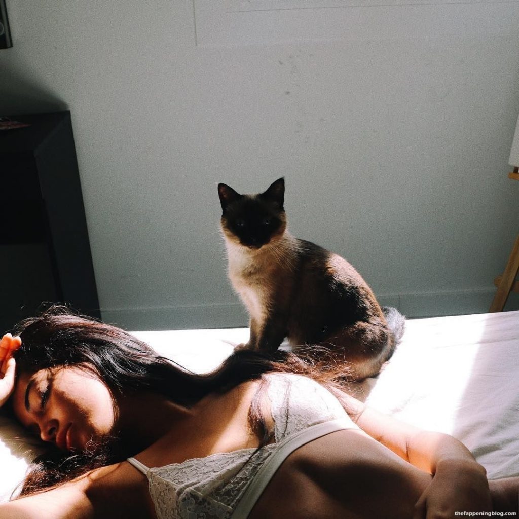 Cindy Kimberly Nude &amp; Sexy Collection (105 Photos)