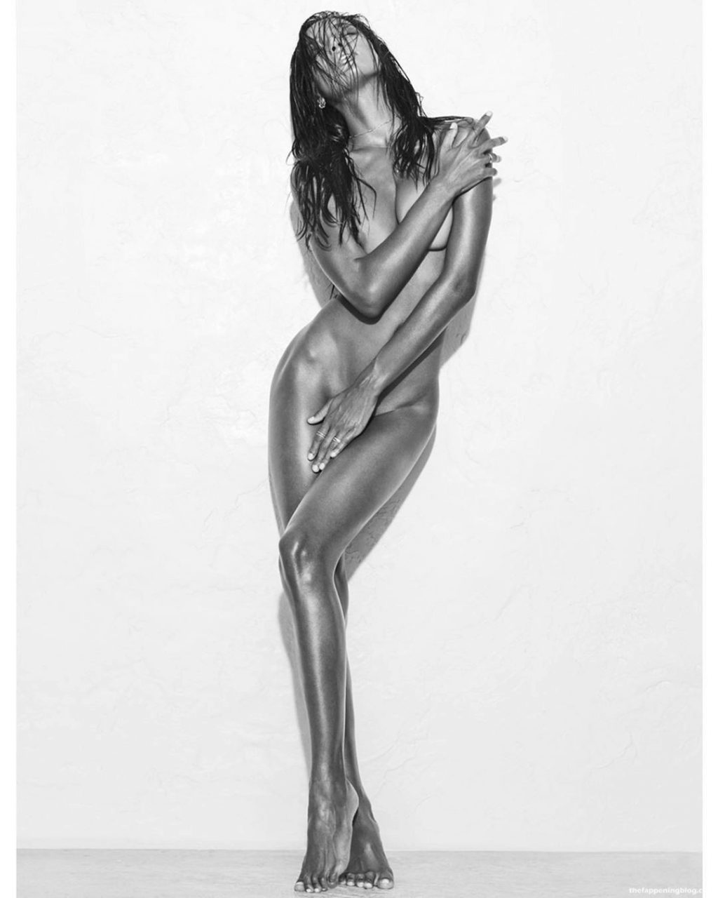 Jasmine Tookes Nude and Topless Pics.