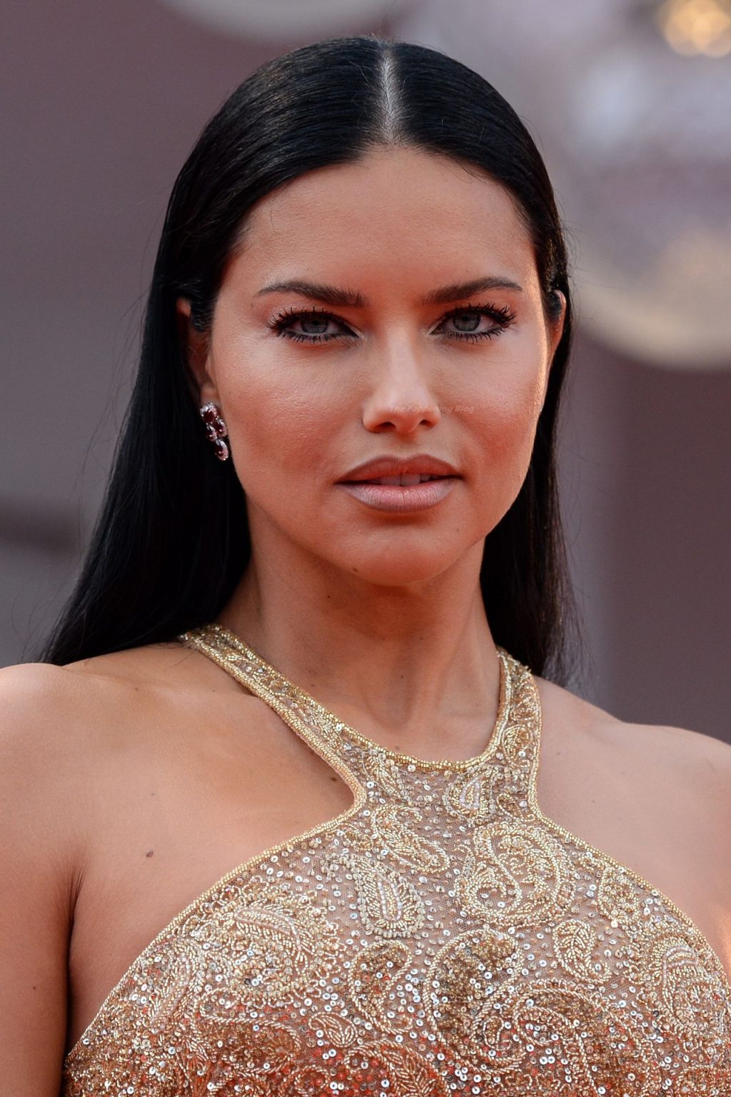 Adriana Lima Poses on the Red Carpet at the 78th Venice International Film Festival (155 Photos)