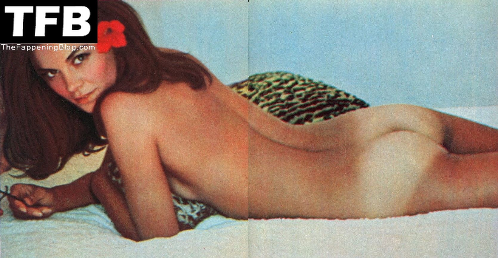 Florinda Bolkan Nude Collection (19 Photos) .