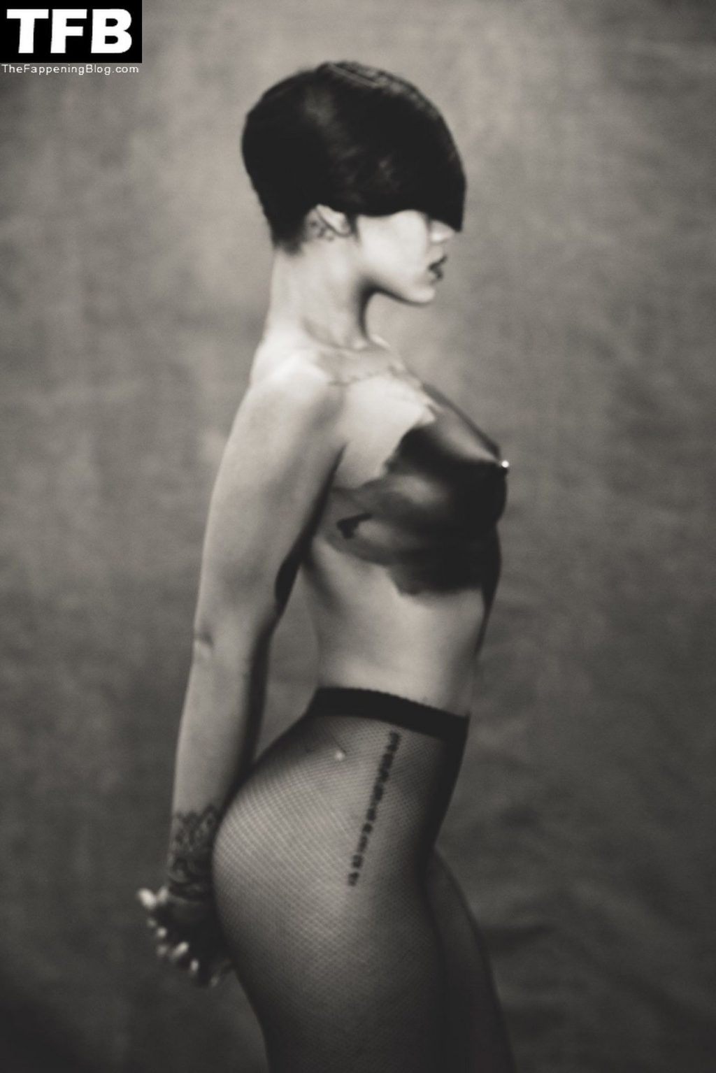 Rihanna Nude &amp; Sexy (17 Photos)