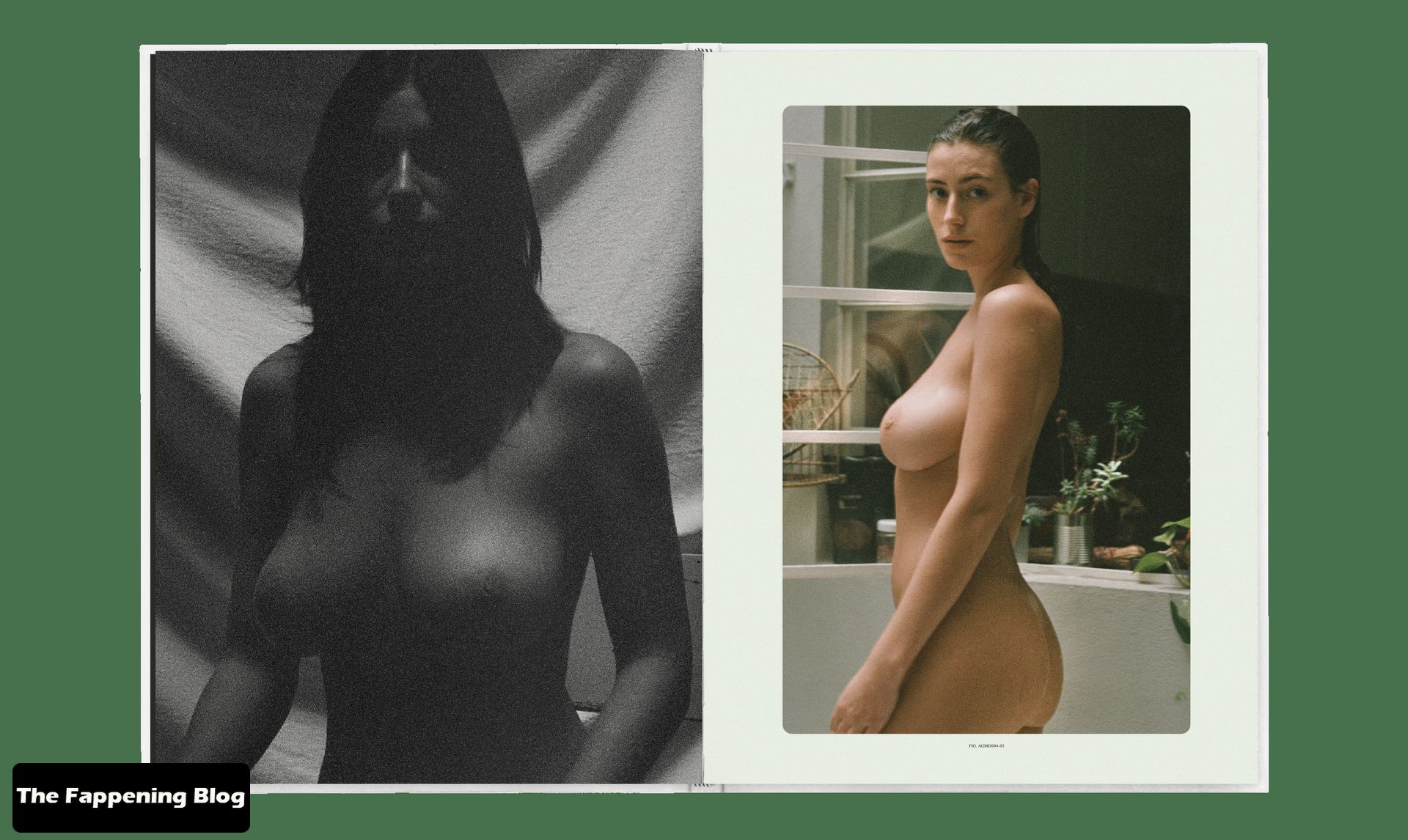 Alejandra-Guilmant-Nude-P-Magazine-3-thefappeningblog.com_.jpg