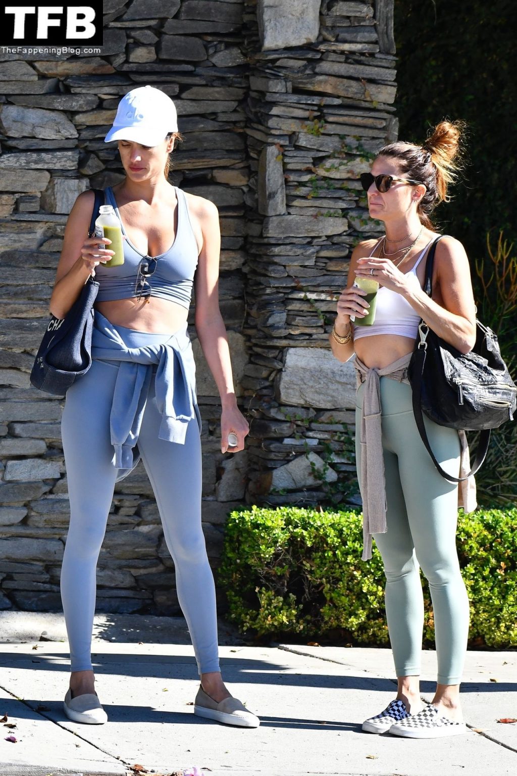 Alessandra Ambrosio Shows Off Her Slim Waist in a Cropped Workout Top While Out With a Friend For Yoga (141 Photos)