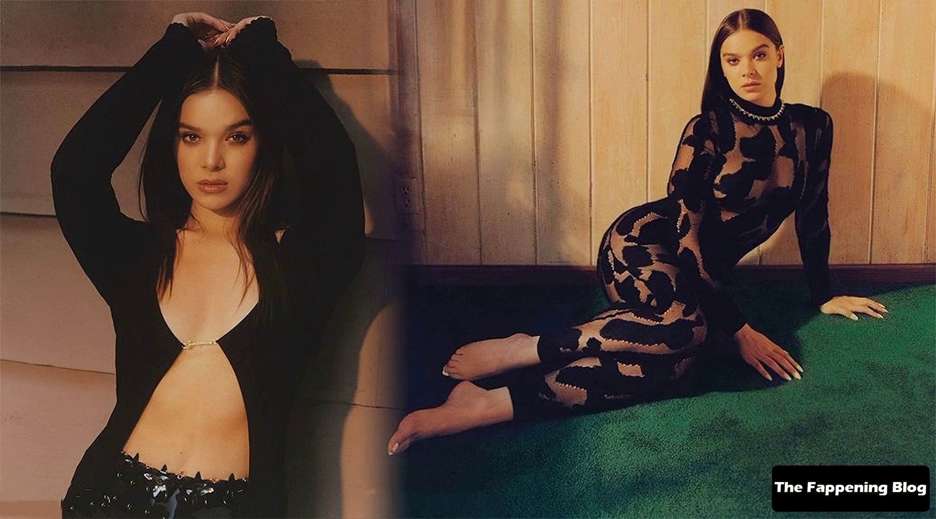 Hailee Steinfeld Sexy (3 Photos + GIF) | #TheFappening