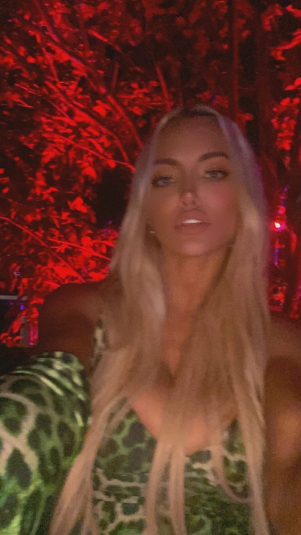 Lindsey Pelas Looks Hot at the Party in LA (12 Photos + Video)