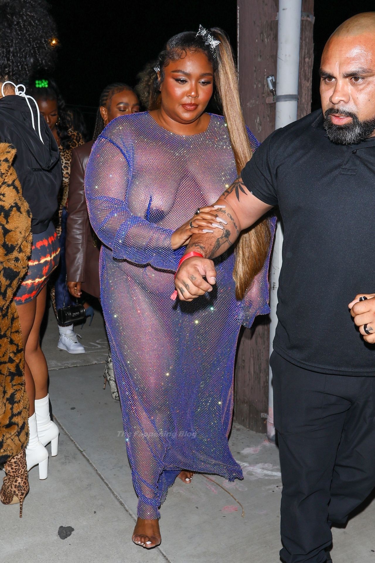 Lizzo-See-Through-The-Fappening-Blog-11.jpg