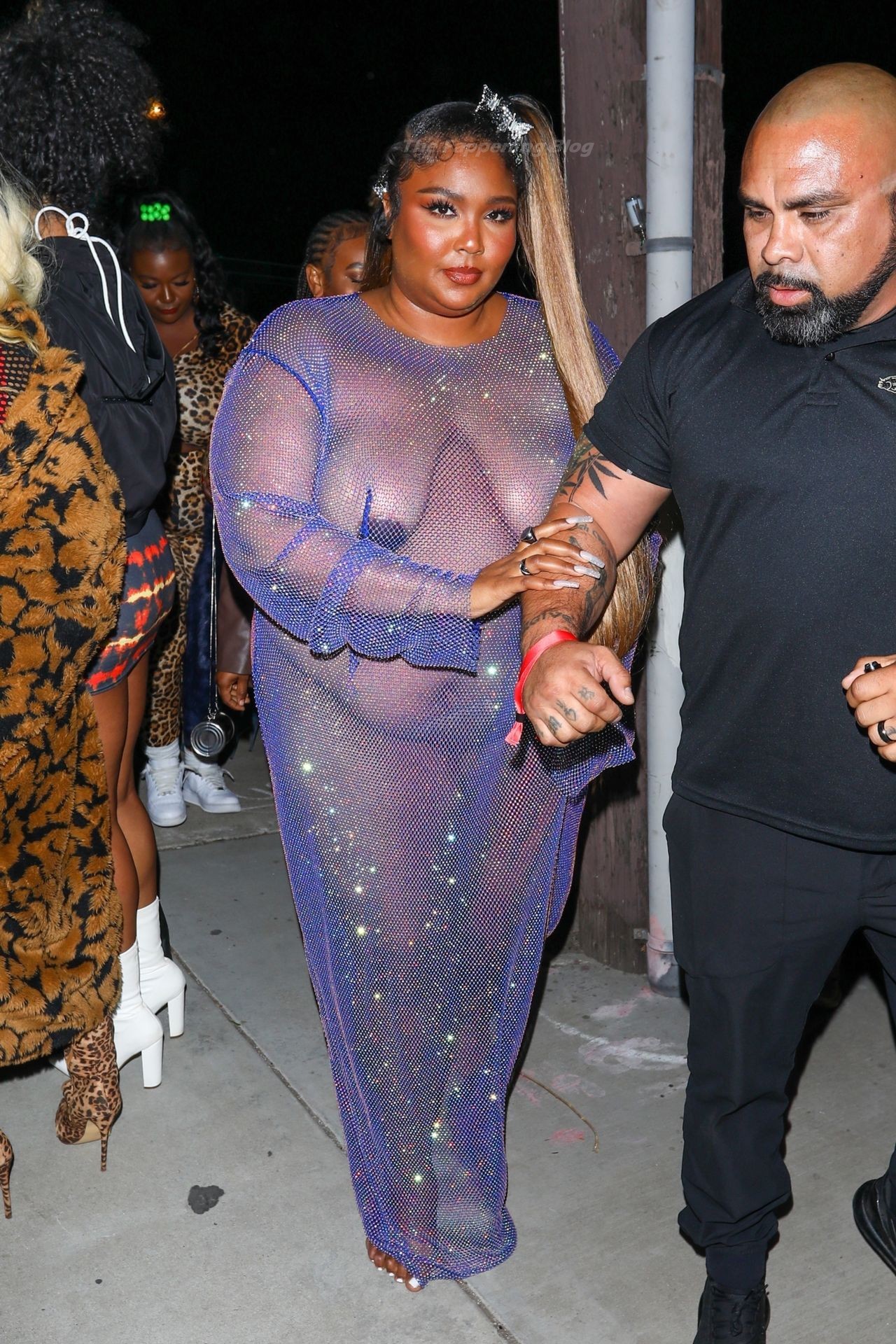 Lizzo-See-Through-The-Fappening-Blog-12.jpg