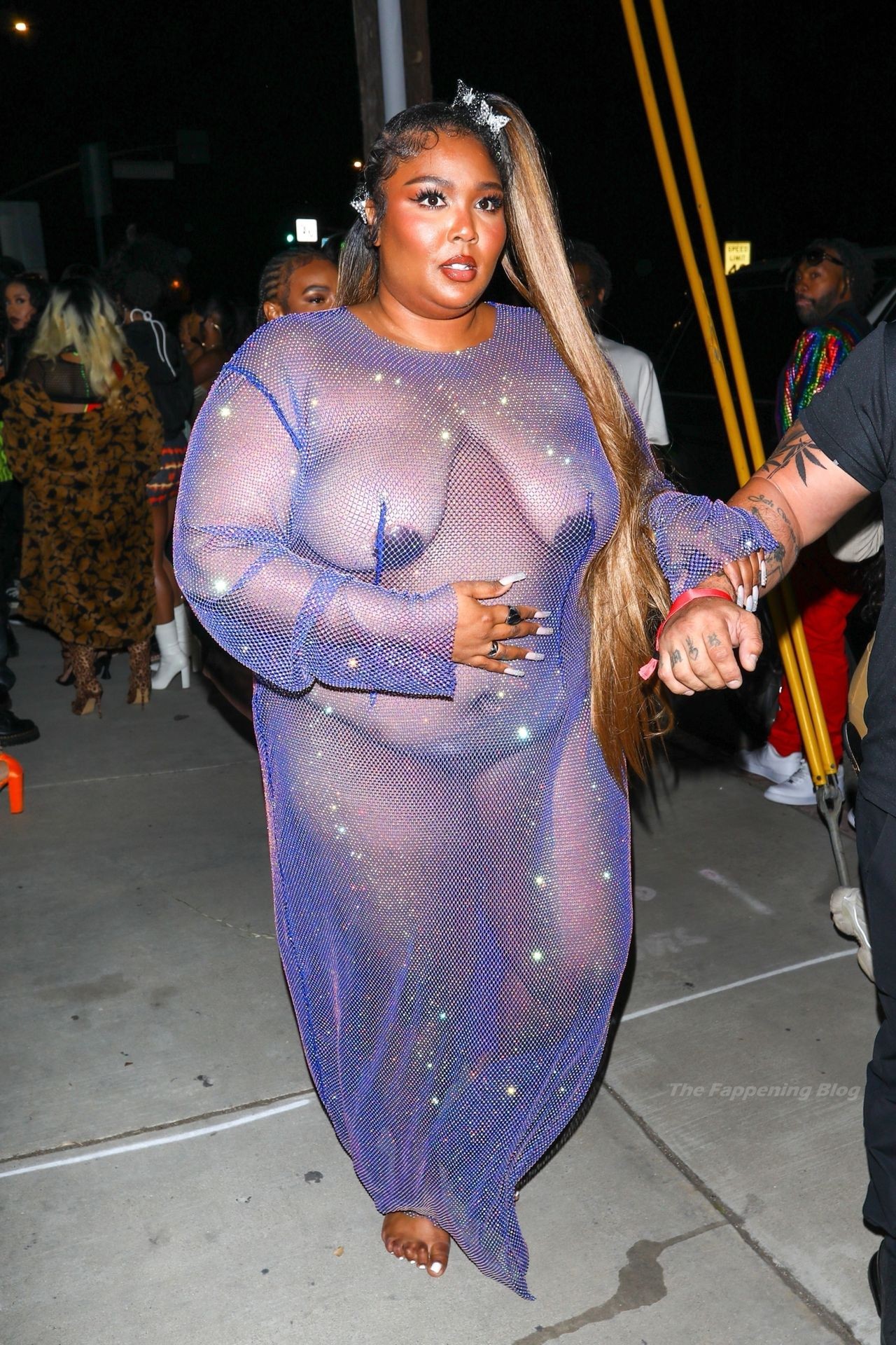 Lizzo-See-Through-The-Fappening-Blog-18.jpg