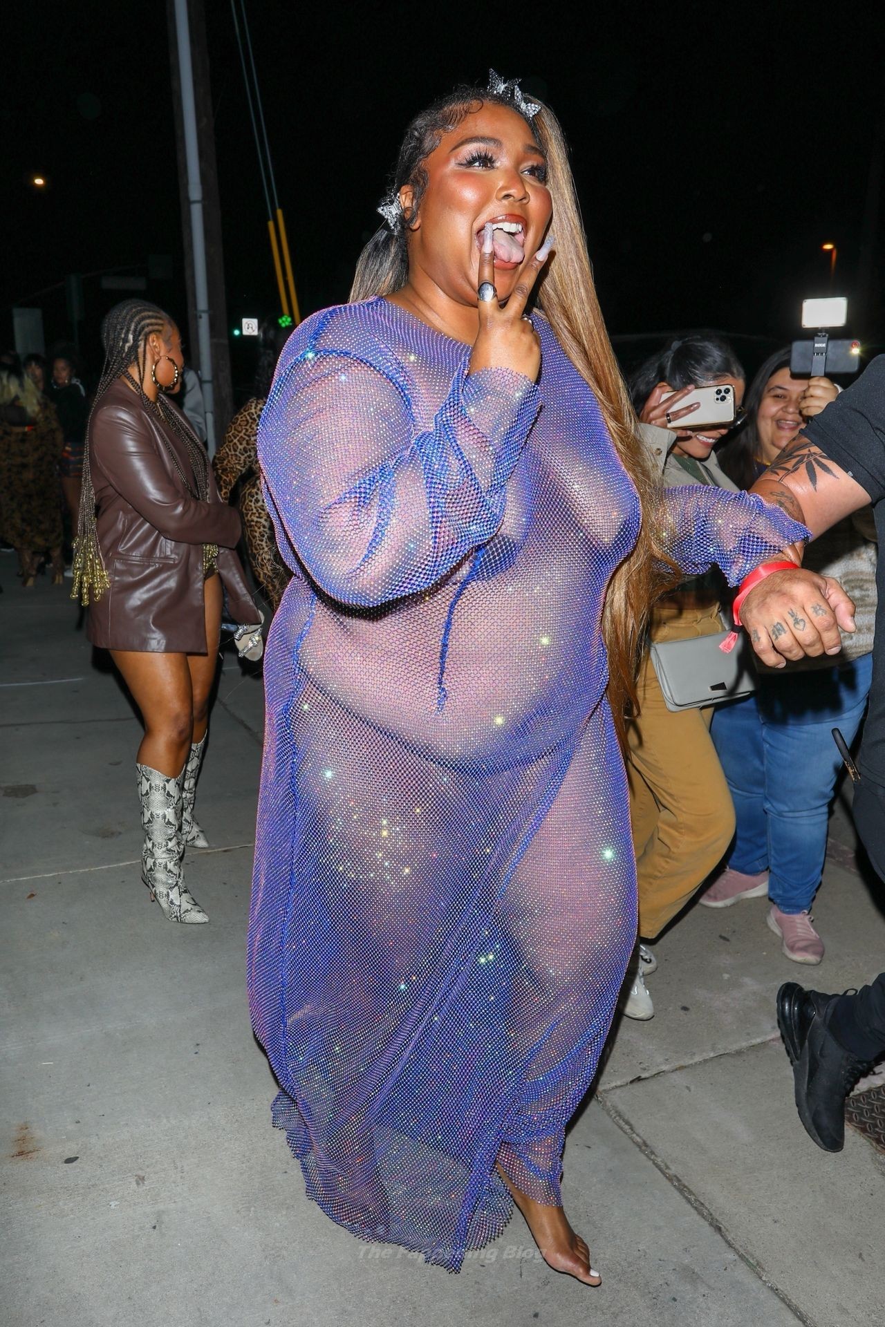 Lizzo-See-Through-The-Fappening-Blog-22.jpg