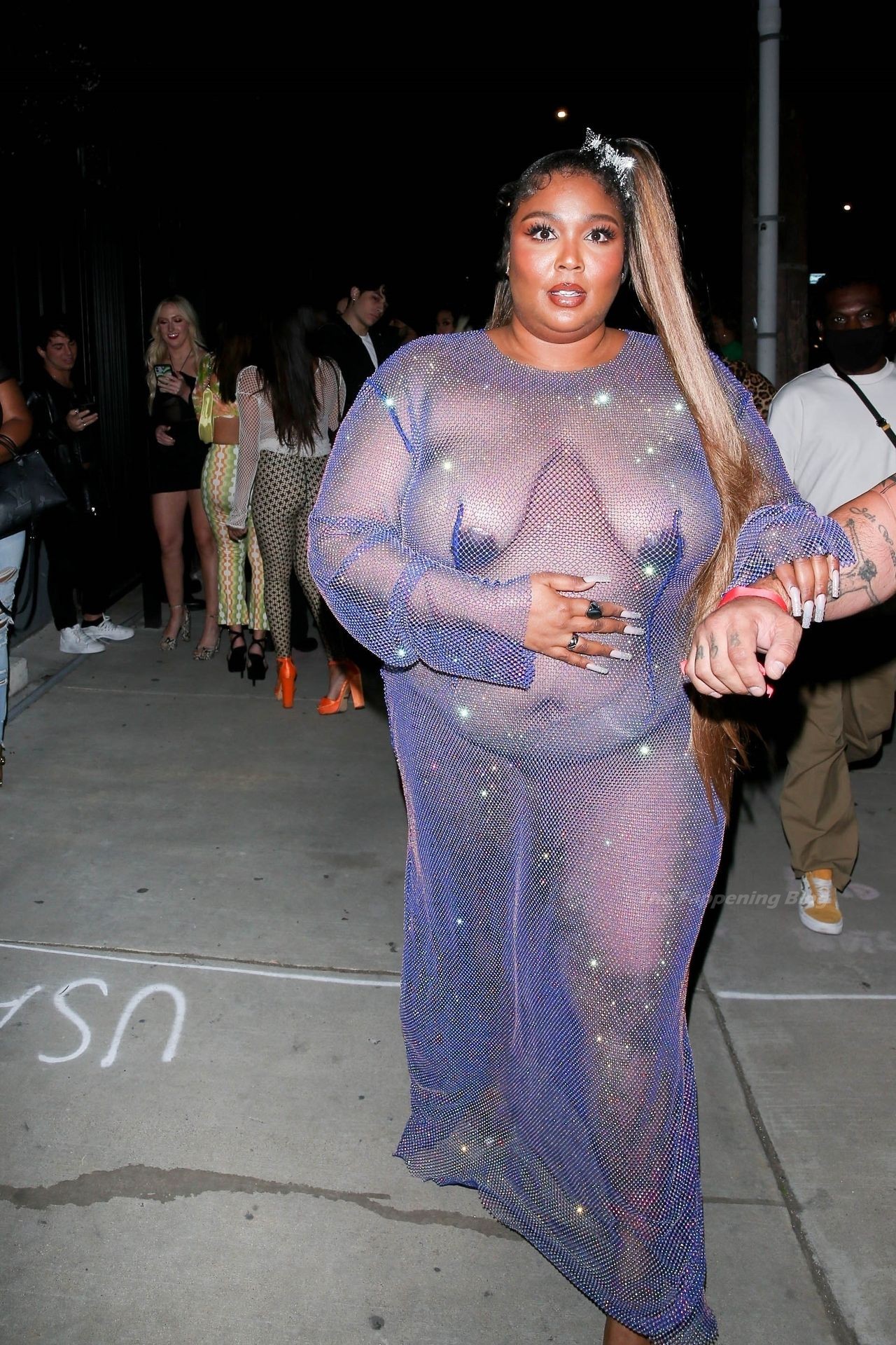Lizzo-See-Through-The-Fappening-Blog-43.jpg