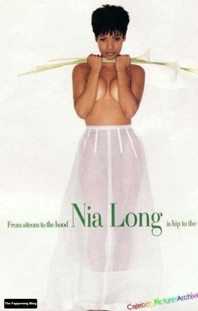 Nia Long Nude Collection (22 Photos)