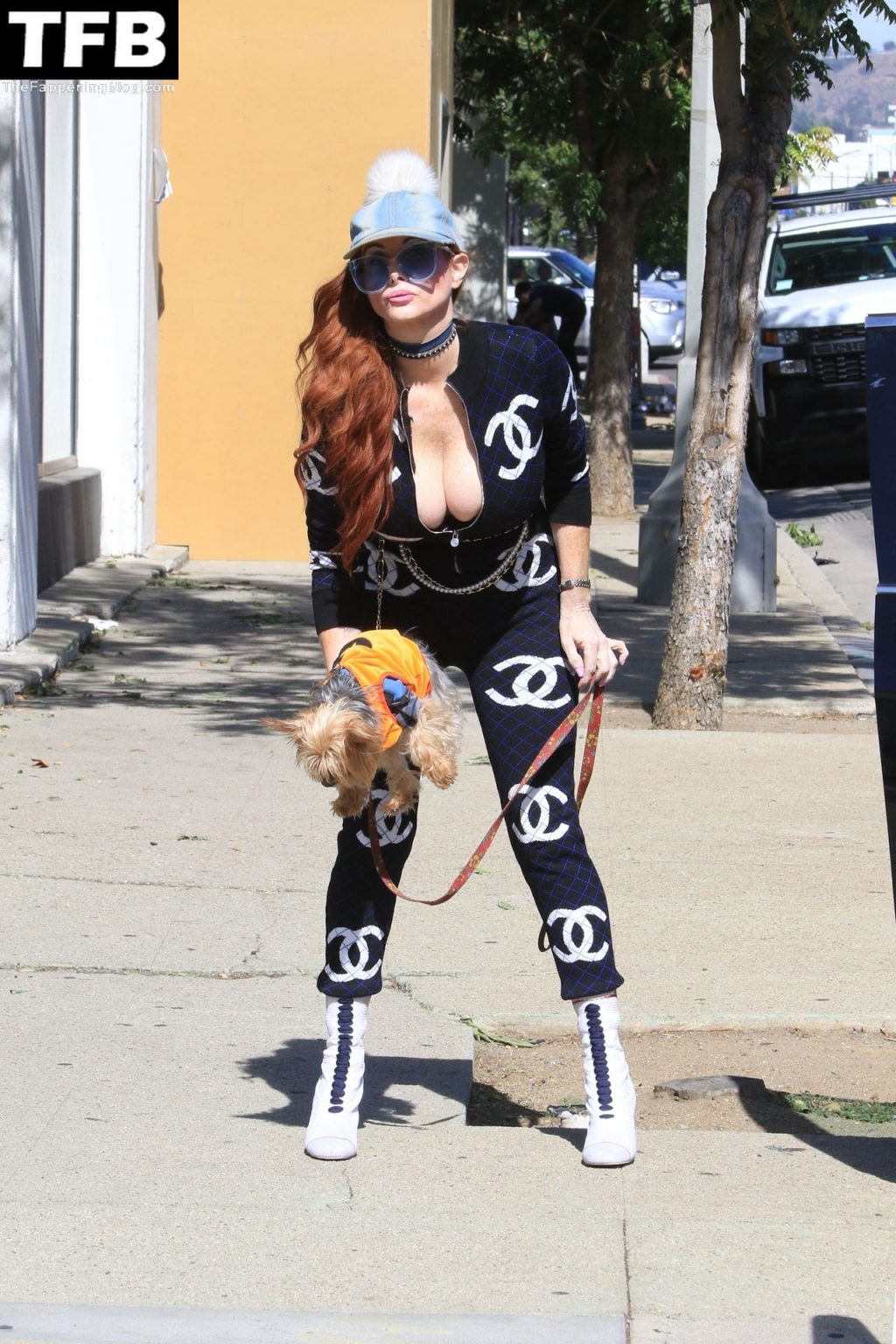 Busty Phoebe Price Walks Her Pumpkin Dressed Dog (18 Photos)
