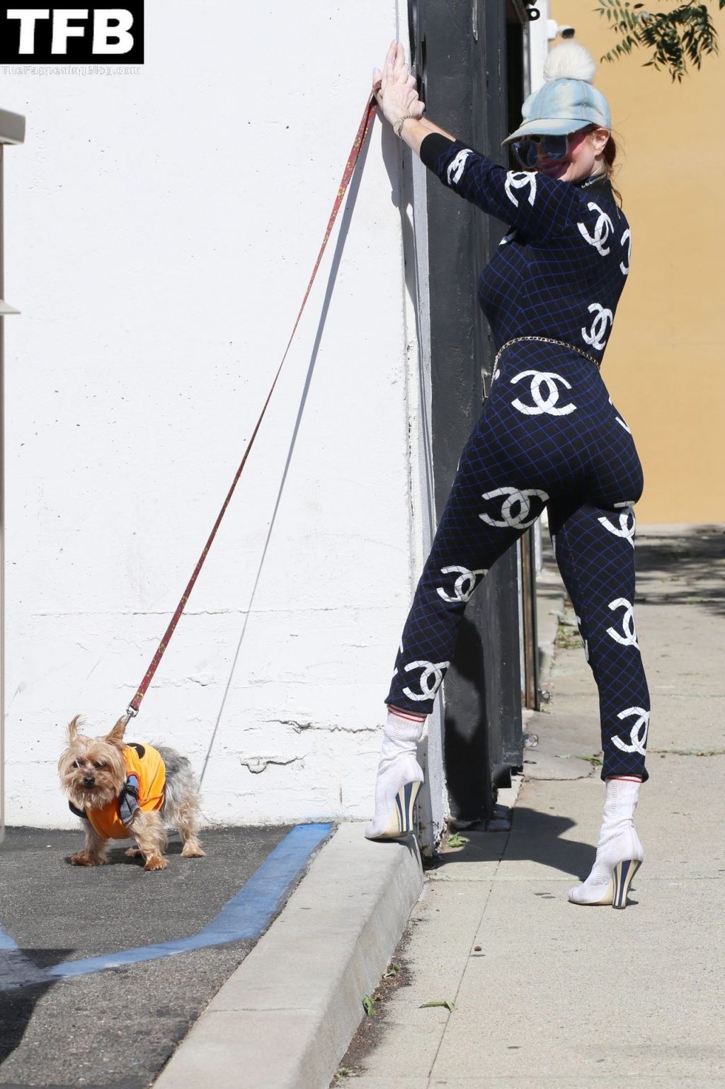 Busty Phoebe Price Walks Her Pumpkin Dressed Dog (18 Photos)