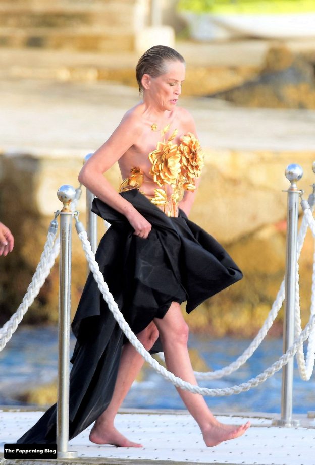 Sharon Stone Flashes Her Nude Boobs In Antibes 54 Photos Thefappening 4449