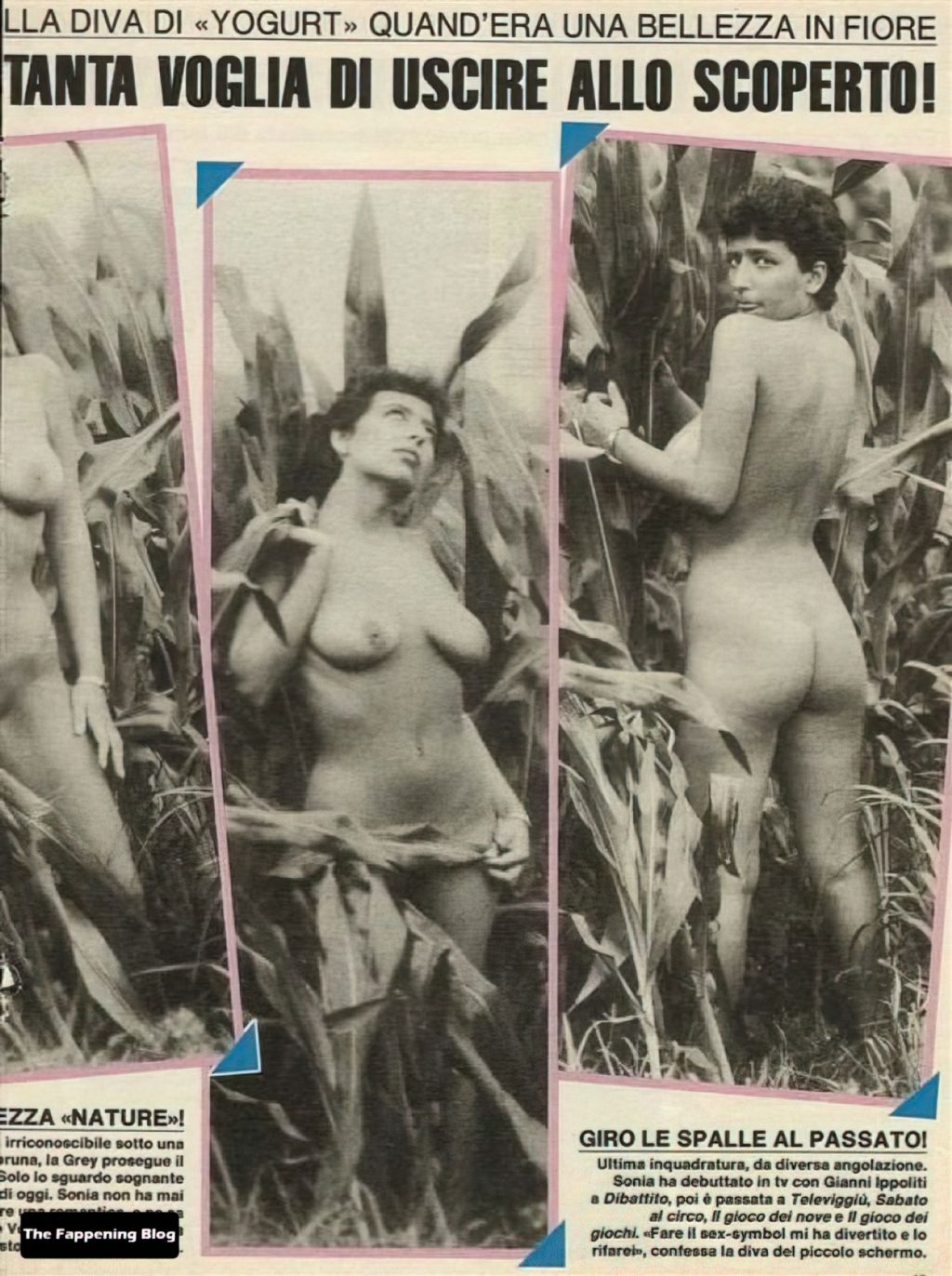 Sonia Grey Nude Collection (22 Photos)