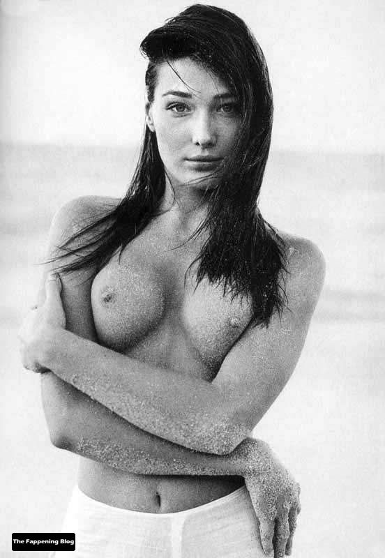 Carla Bruni Nude &amp; Sexy Collection (40 Photos)