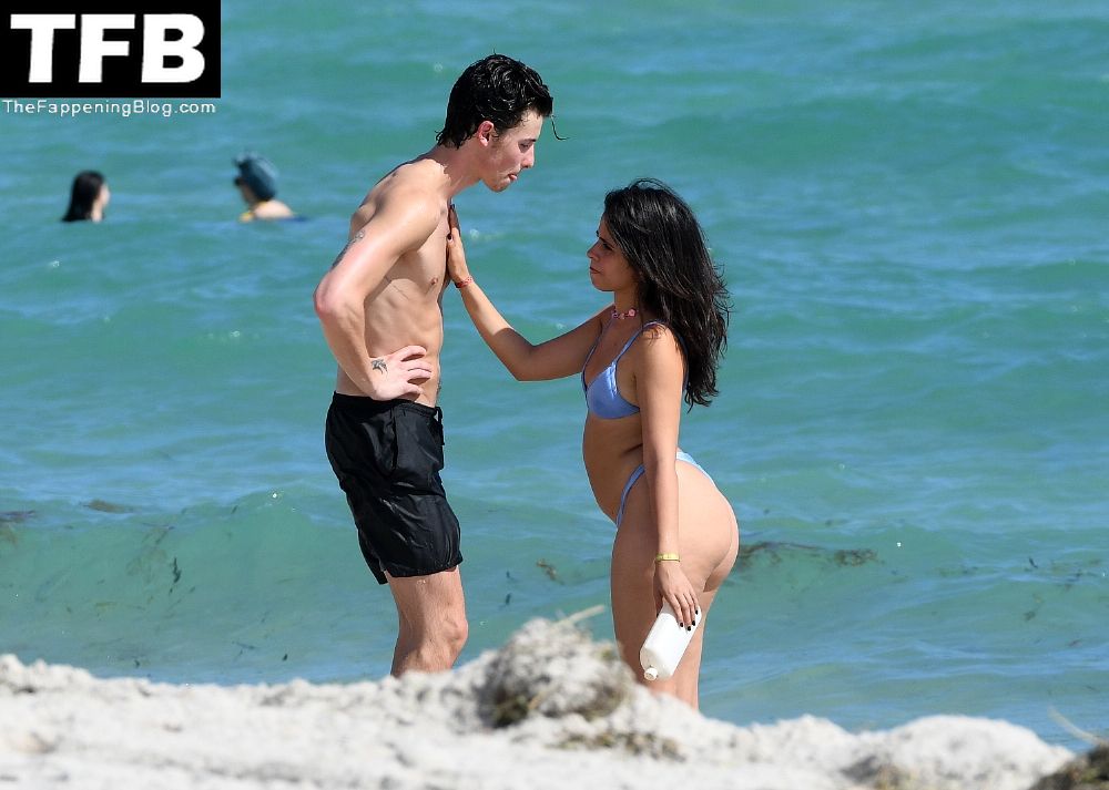 Camila Cabello &amp; Shawn Mendes Enjoy the Beach in Miami (85 Photos)