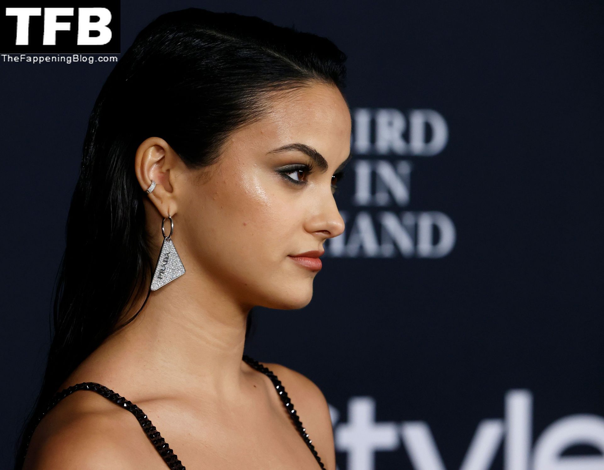 Camila-Mendes-See-Through-Tits-The-Fappening-Blog-28.jpg