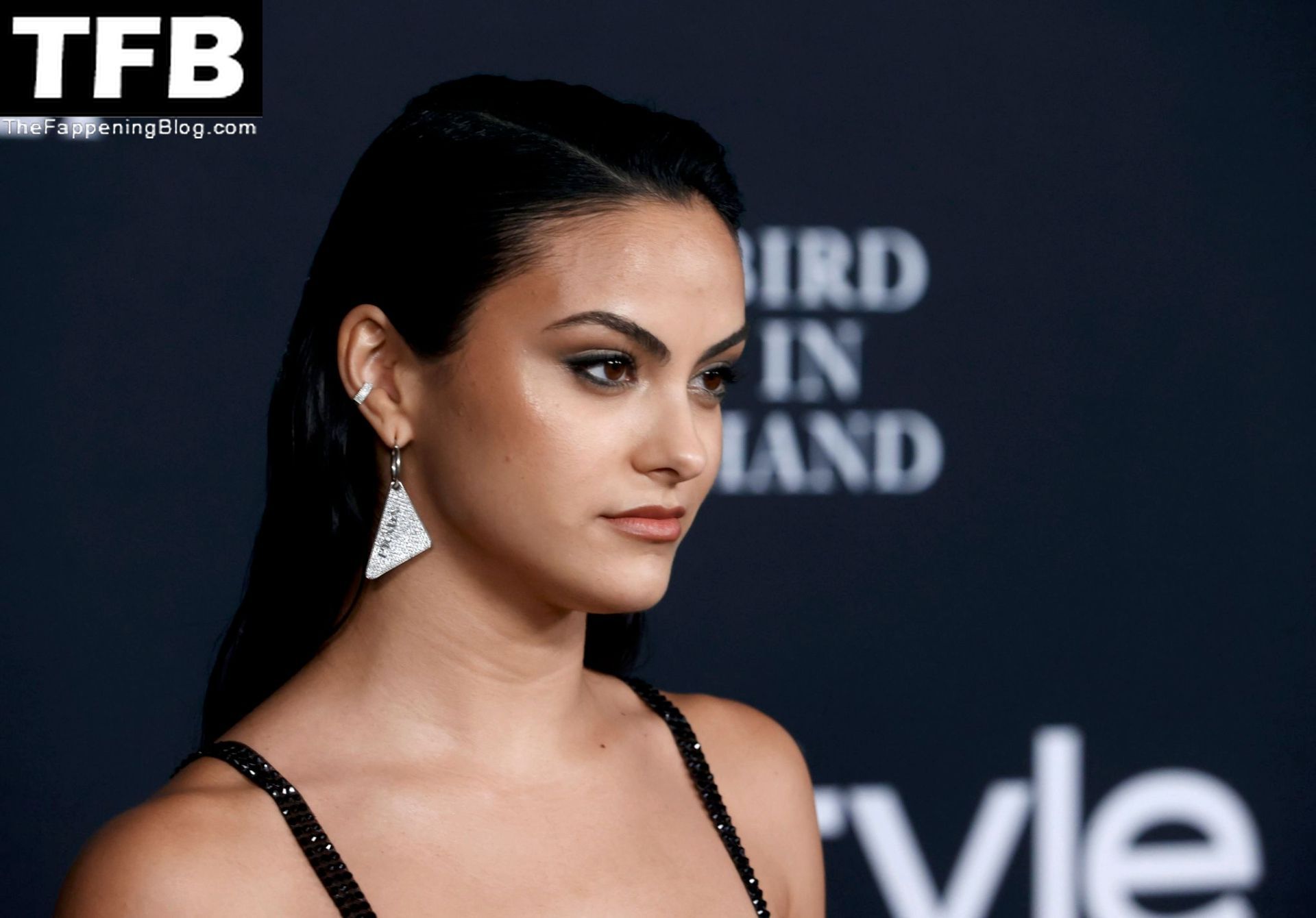 Camila-Mendes-See-Through-Tits-The-Fappening-Blog-36.jpg
