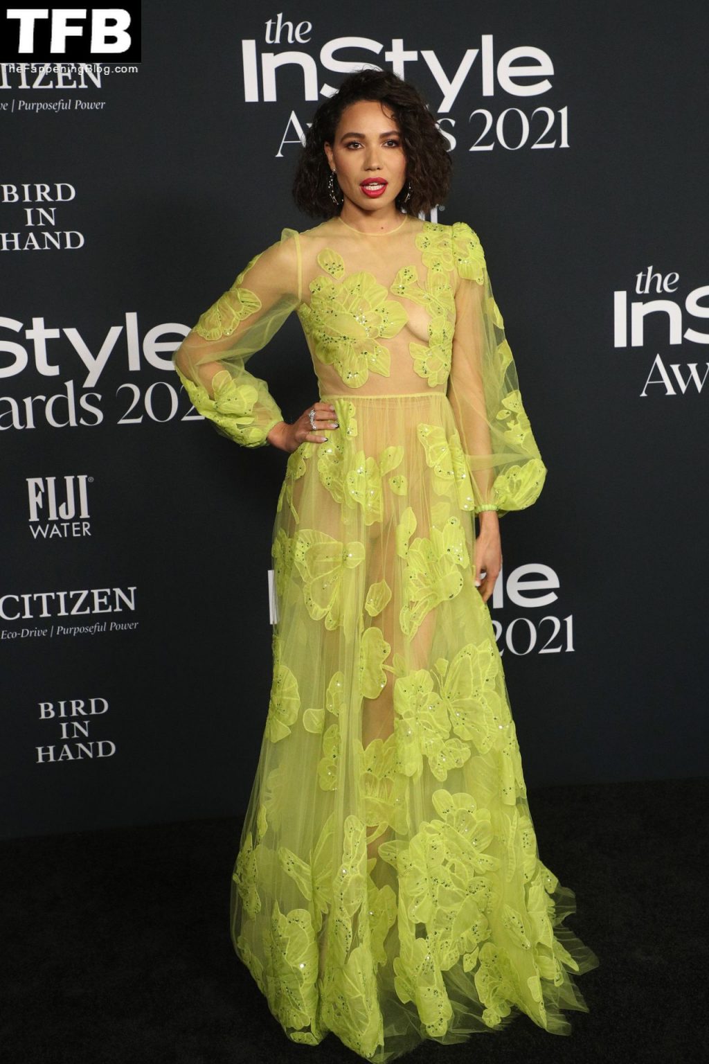 Jurnee Smollett Looks Beautiful in a See-Through Dress at the 6th Annual InStyle Awards (16 Photos)