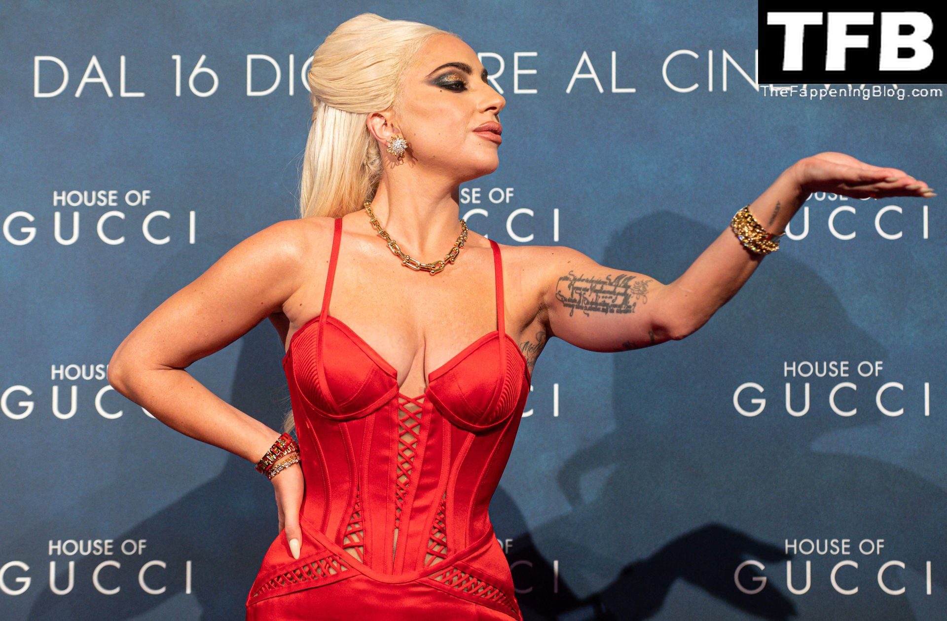 US singer and actor Lady Gaga poses in a beautiful dress on the red carpet ...