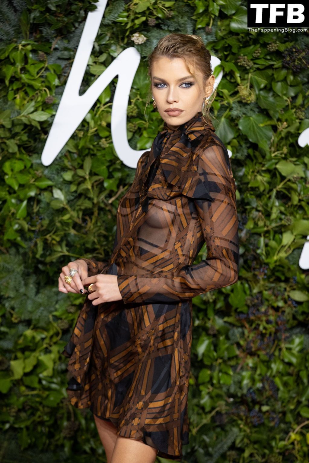 Stella Maxwell Displays Her Nude Tits at The Fashion Awards in London (107 New Photos)