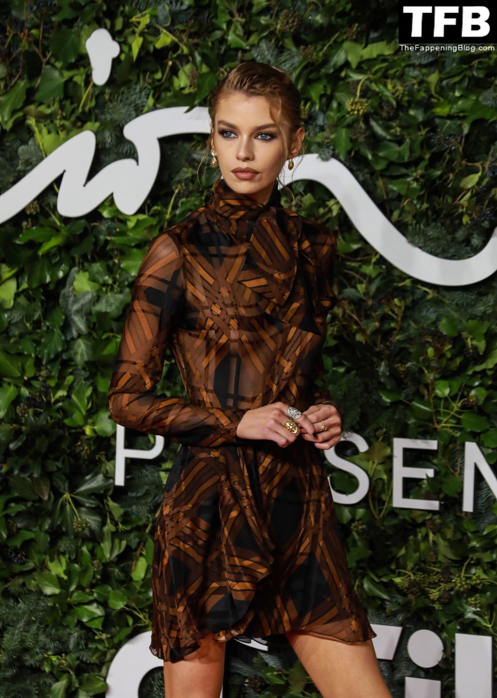 Stella Maxwell Displays Her Nude Tits at The Fashion Awards in London (107 New Photos)