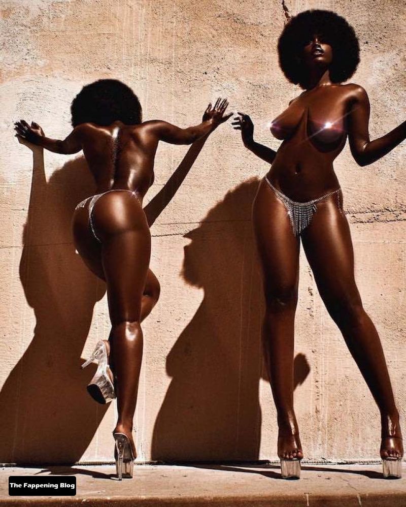 Tanerelle Nude Collection (15 Photos + Video) .