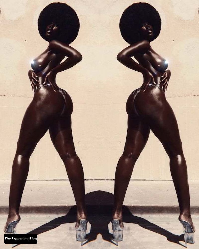 Tanerelle Nude Collection (15 Photos + Video)