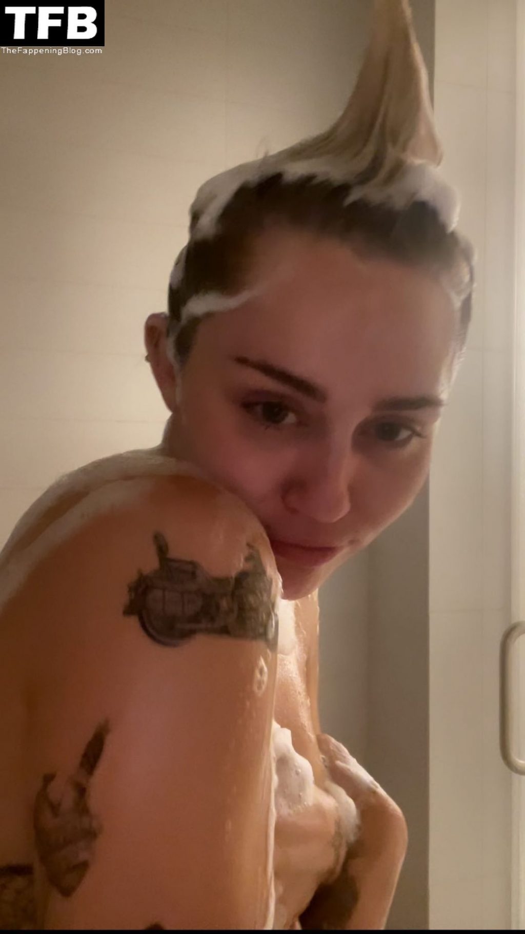 Miley Cyrus Sexy &amp; Topless (27 Photos)
