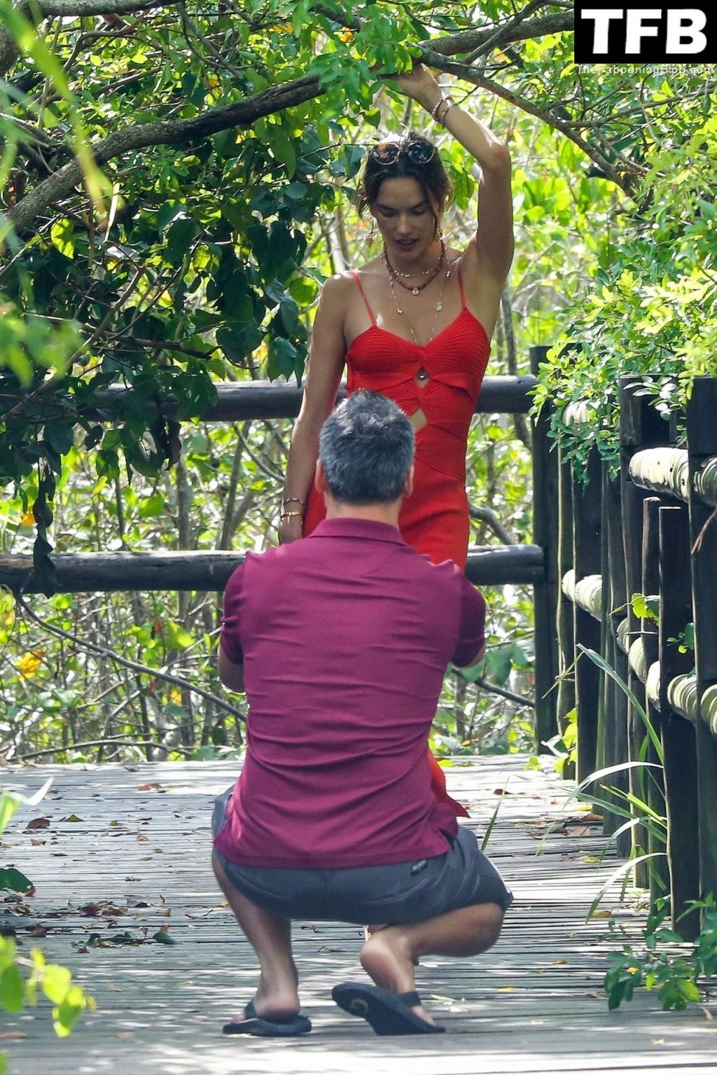 Alessandra Ambrosio Strikes a Pose for Richard Lee in a Red Dress (27 Photos)
