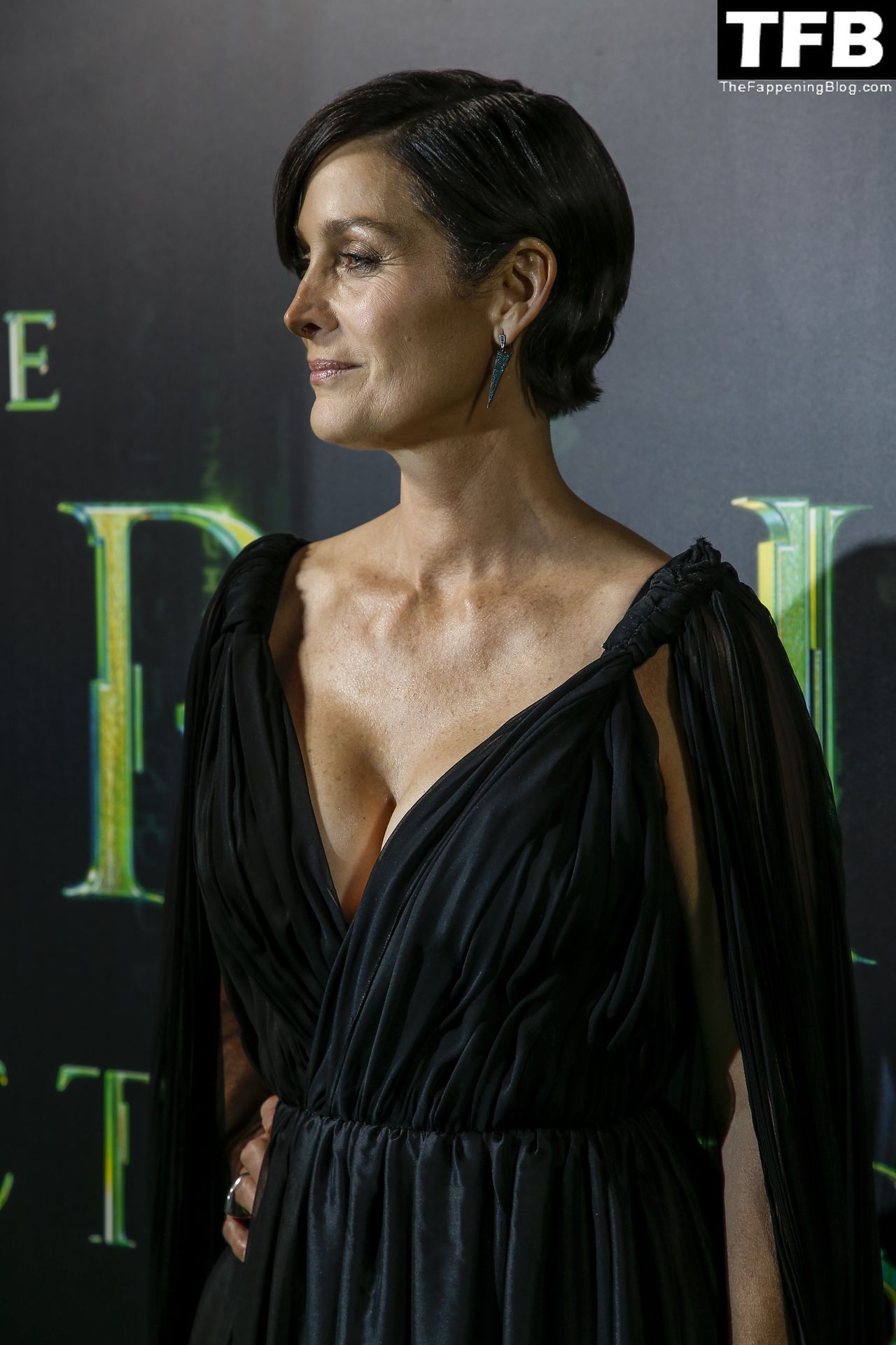 Carrie-Anne-Moss-Sexy-The-Fappening-Blog-17.jpg
