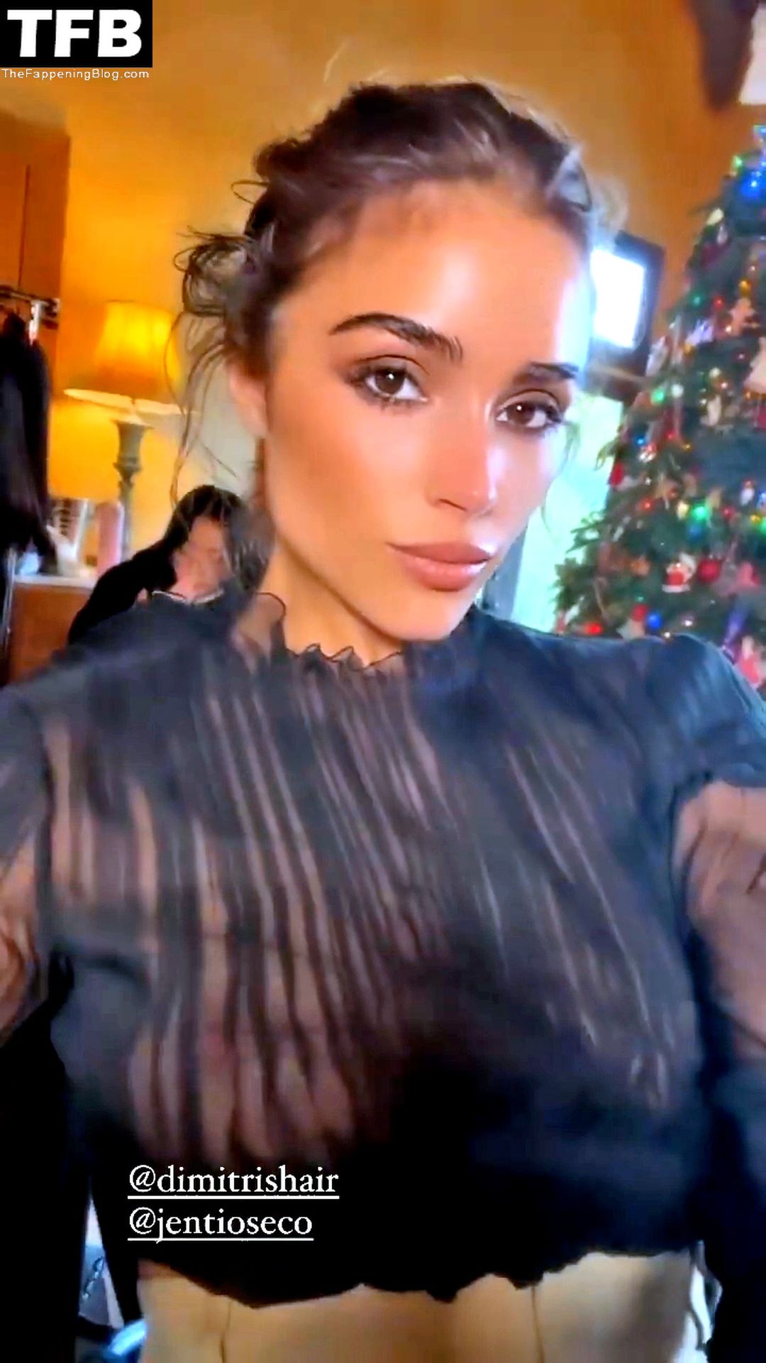Sexy Olivia Culpo Flashes Her Nude Boobs As She Poses In A See Through Dress