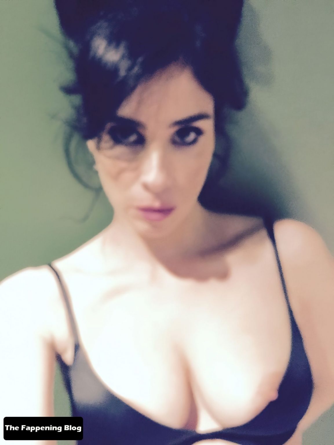 Sarah Silverman Nude And Sexy Collection 27 Photos Videos Thefappening