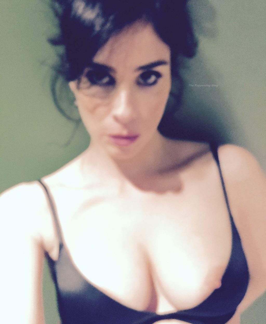Sarah Silverman Nude, Leaked &amp; Sexy Collection (56 Photos)