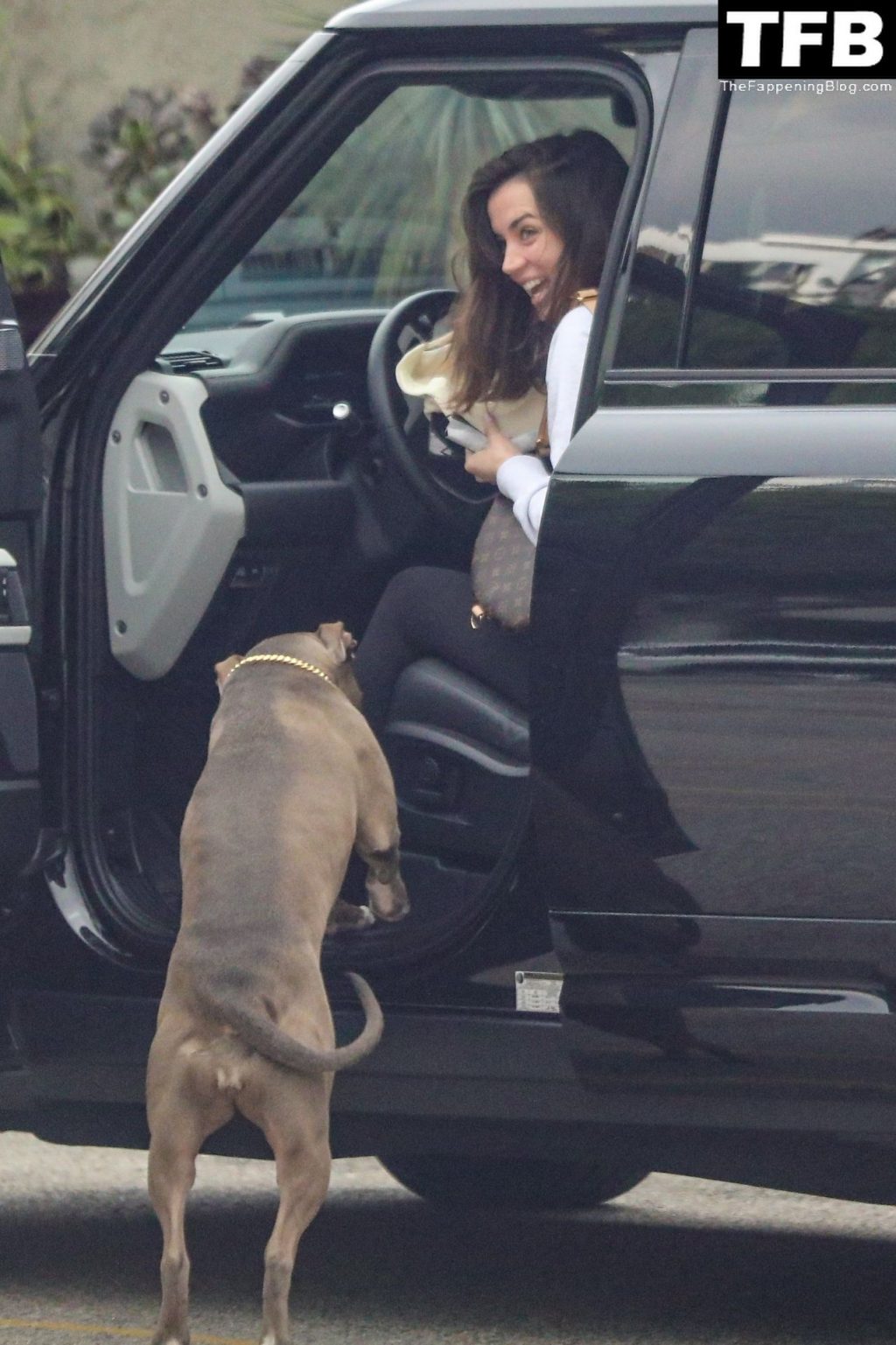 Ana de Armas Gets a Warm Welcome From Her Friend’s Pitbull (38 Photos)