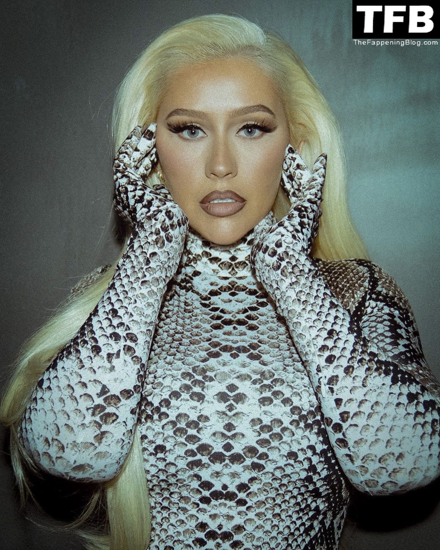 Christina-Aguilera-Sexy-The-Fappening-Blog-12.jpg