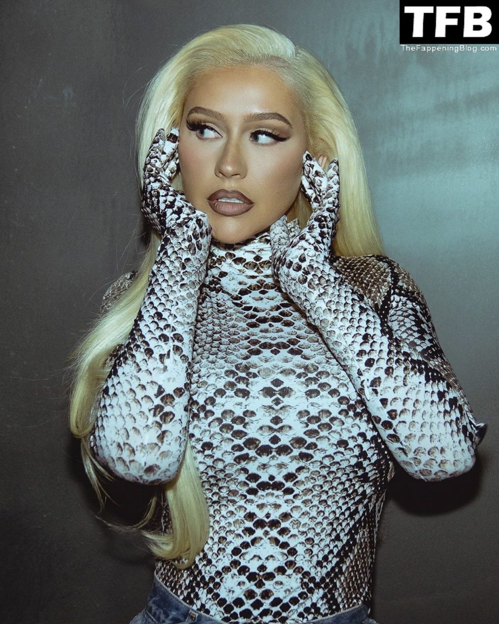 Christina Aguilera Sexy (23 Photos)