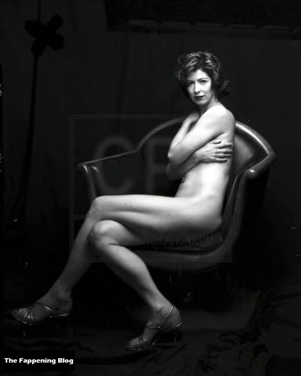 Dana Delany Nude &amp; Sexy Collection (27 Photos + Videos)