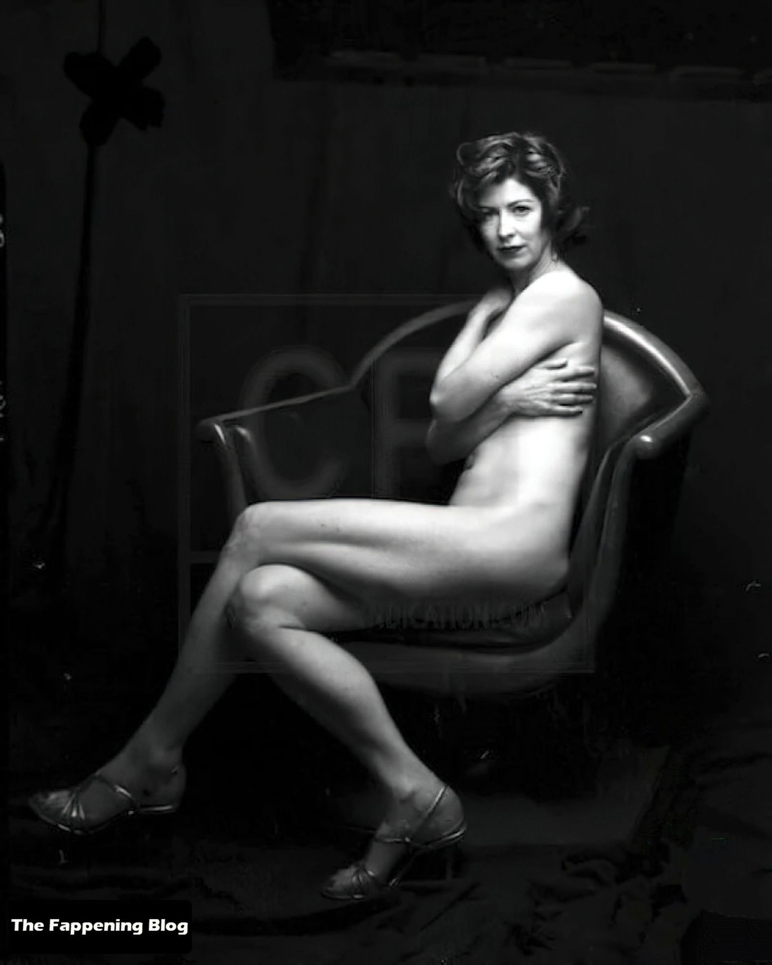 Dana-Delany-Nude-Collection-2-thefappeningblog.com_.jpg