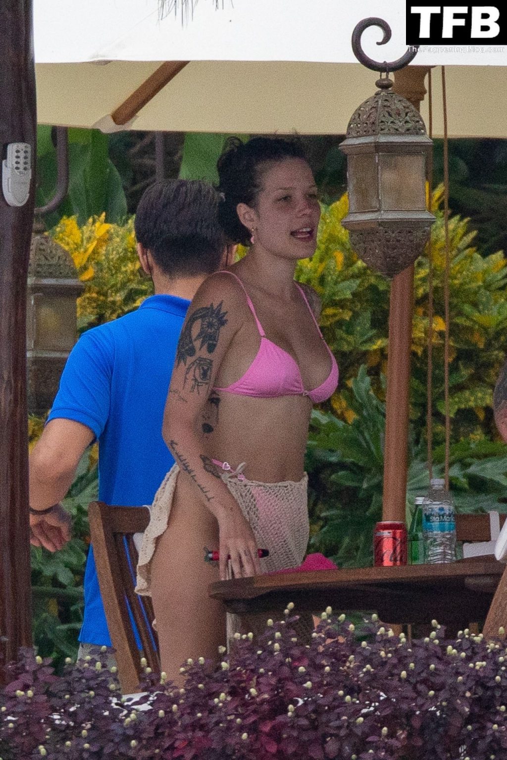 Halsey is Seen in a Bikini While Vacationing in Vallarta with Alev Aydin (15 Photos)