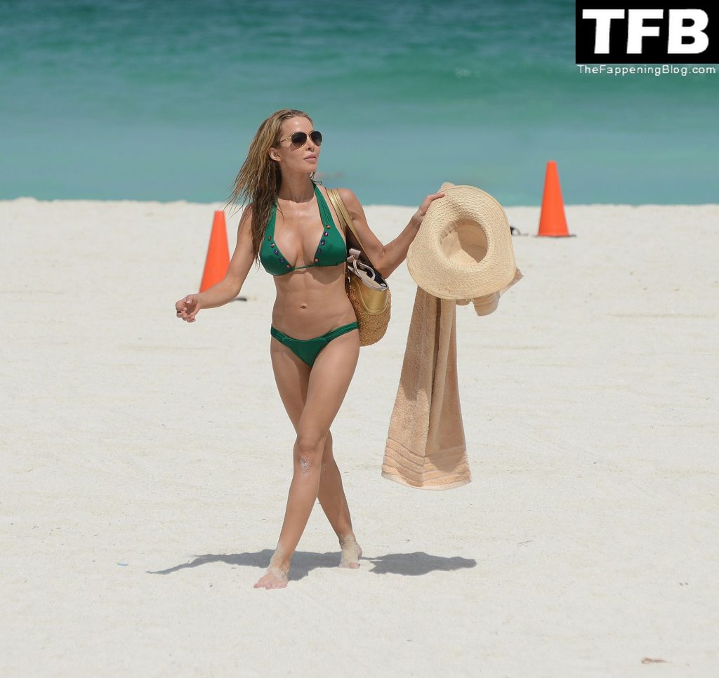 Busty Lisa Hochstein Hits the Beach in Miami (33 Photos)