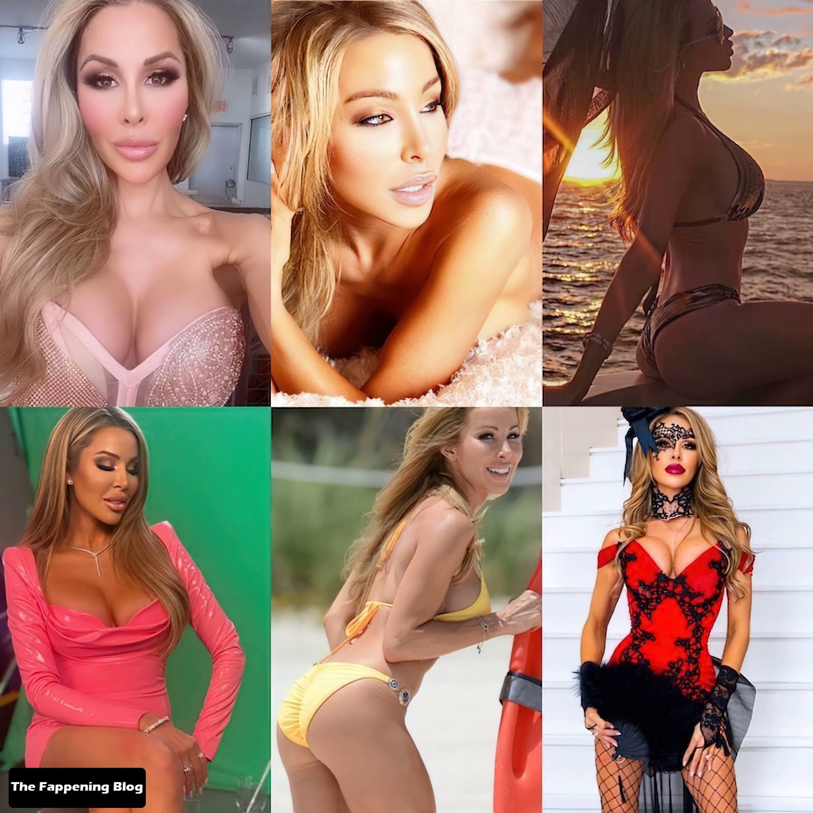 Look at Lisa Hochstein’s enhanced nude Playboy pictures and sexy photos fro...