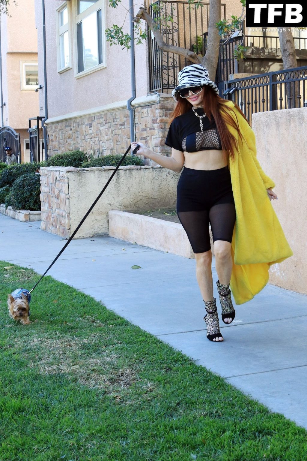 Phoebe Price Takes Her Dog Out For a Morning Walk in Los Angeles (21 Photos)