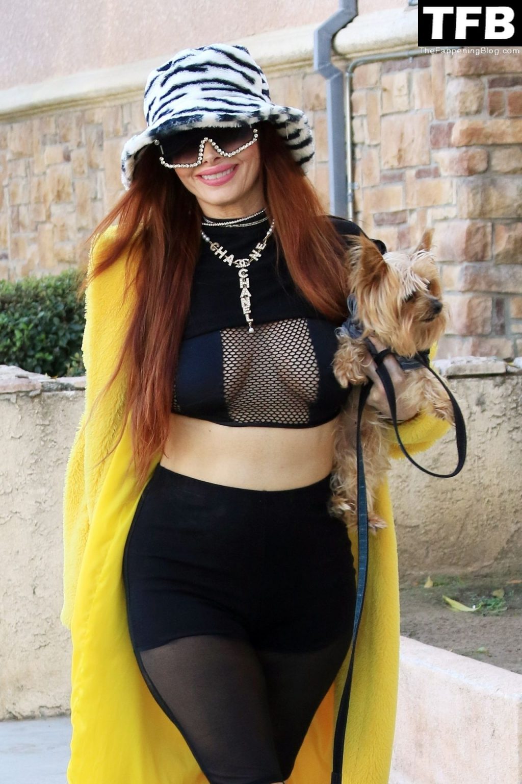 Phoebe Price Takes Her Dog Out For a Morning Walk in Los Angeles (21 Photos)