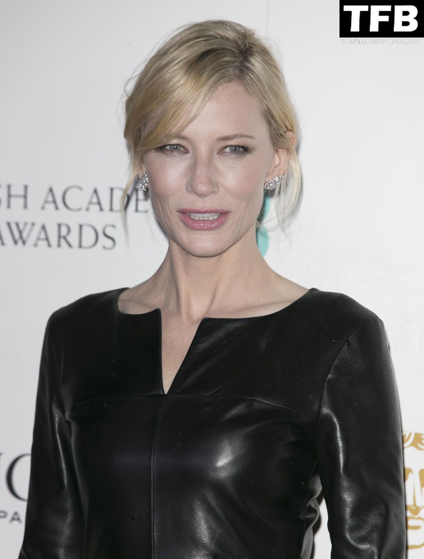 Cate Blanchett Nude Sexy 29 Pics Everydaycum💦 And The Fappening ️